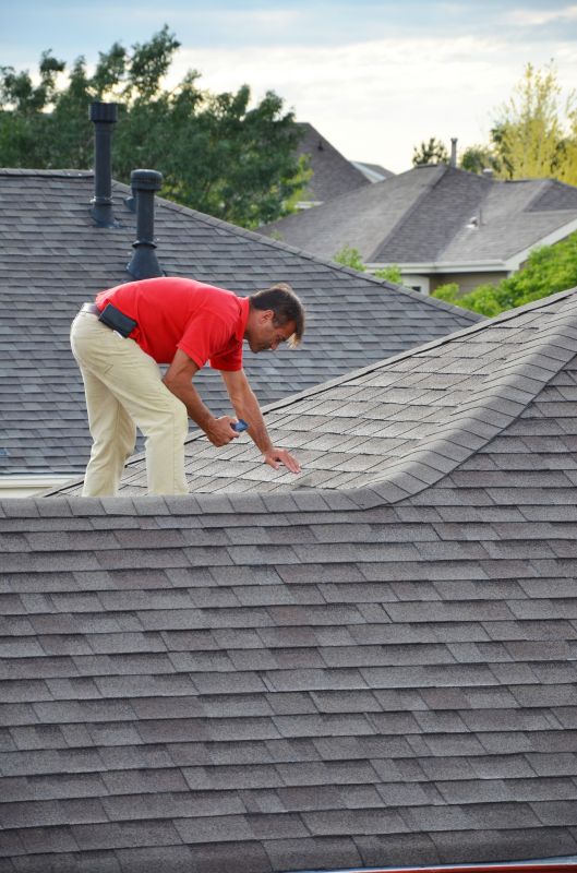 Shingle Inspection