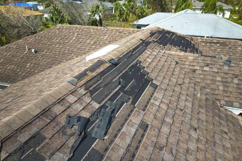 Roof Repair in Spring
